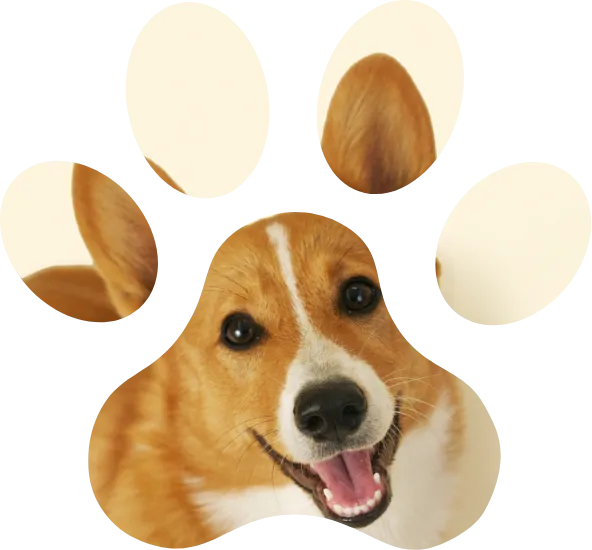 COMPASSIONATE VETERINARY CARE