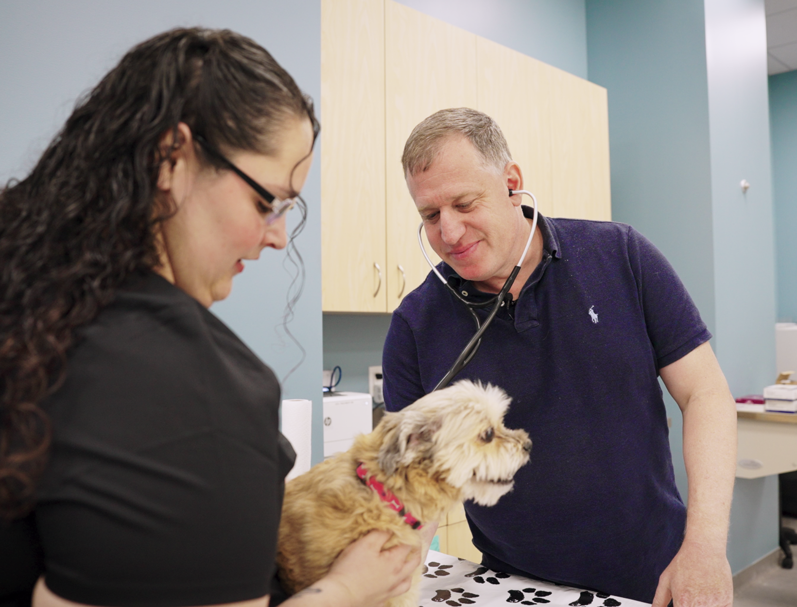 About coastal veterinary care